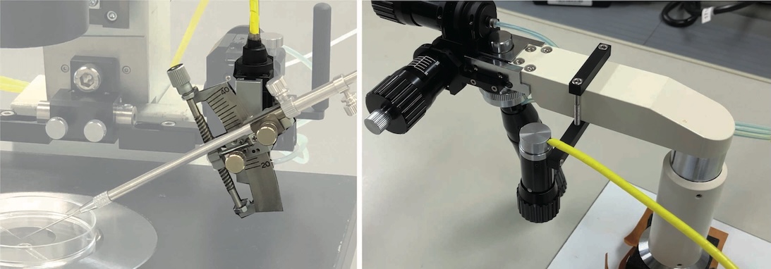 manu-accessory_BUR-4
